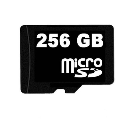Micro SD card 256 GB