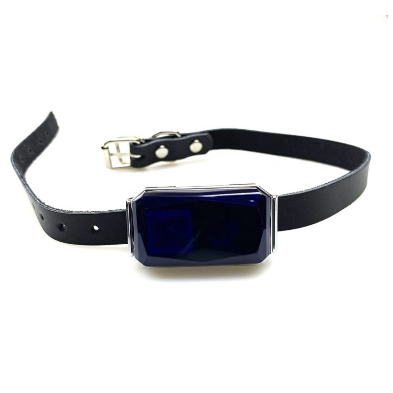 Collier Traceur Gps Avec Micro Pour Chat Et Chien