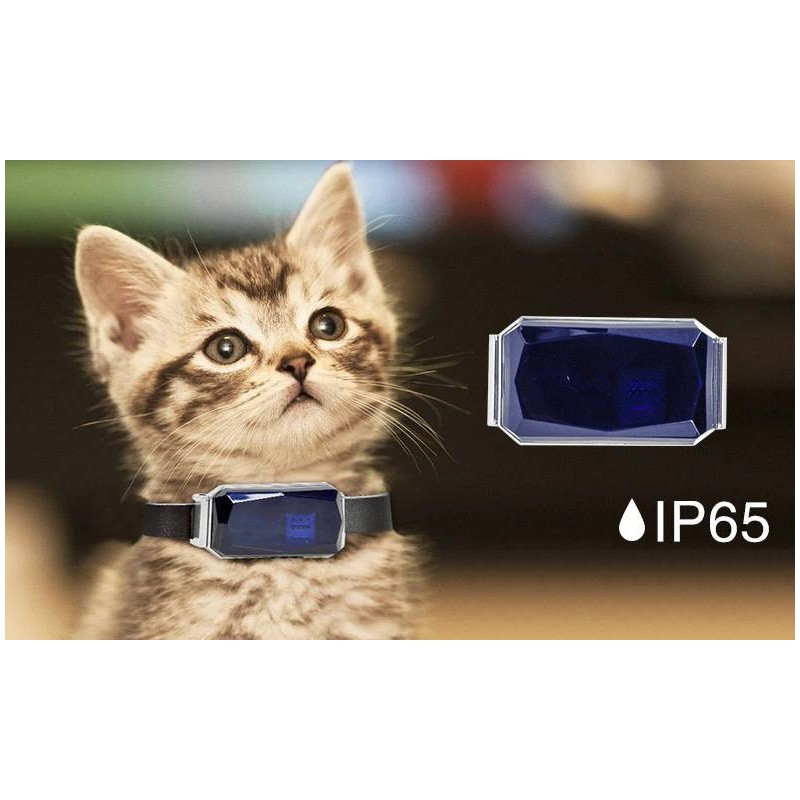 Collier traceur GPS avec micro pour chat et chien